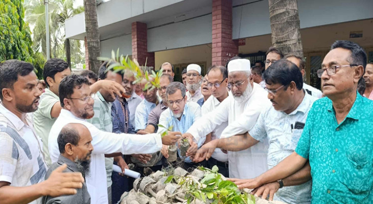 বিরামপুরে বিএনপির বৃক্ষরোপণ কর্মসূচি ও ২১ হাজারের বেশি চারা বিতরণ